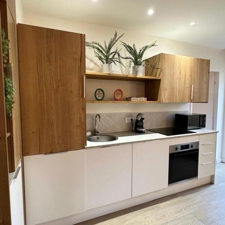 Chinard 1 - 1 Bedroom - Gare de Vaise - Appartement 1 Chambre - 14