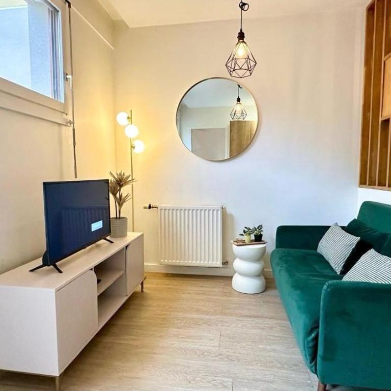 Chinard 1 - 1 Bedroom - Gare de Vaise - Appartement 1 Chambre - 15
