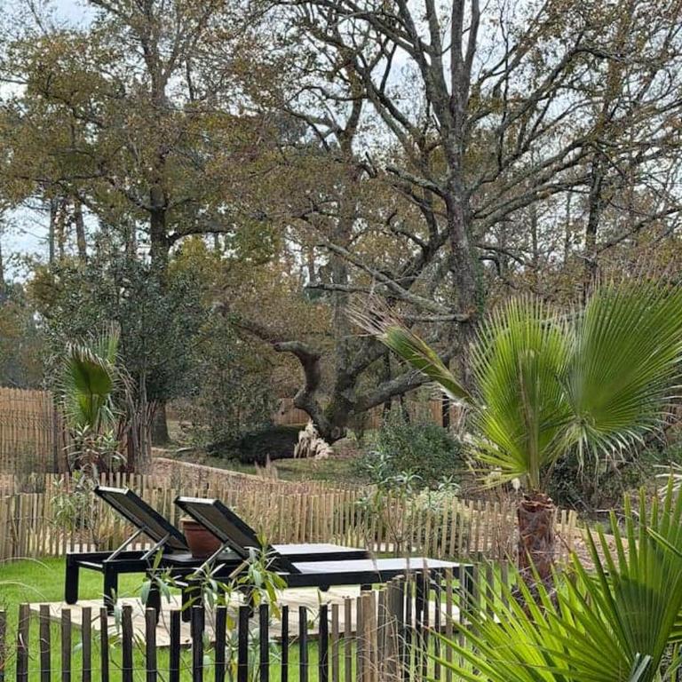 Le Chalet du lac - Chalet - 6