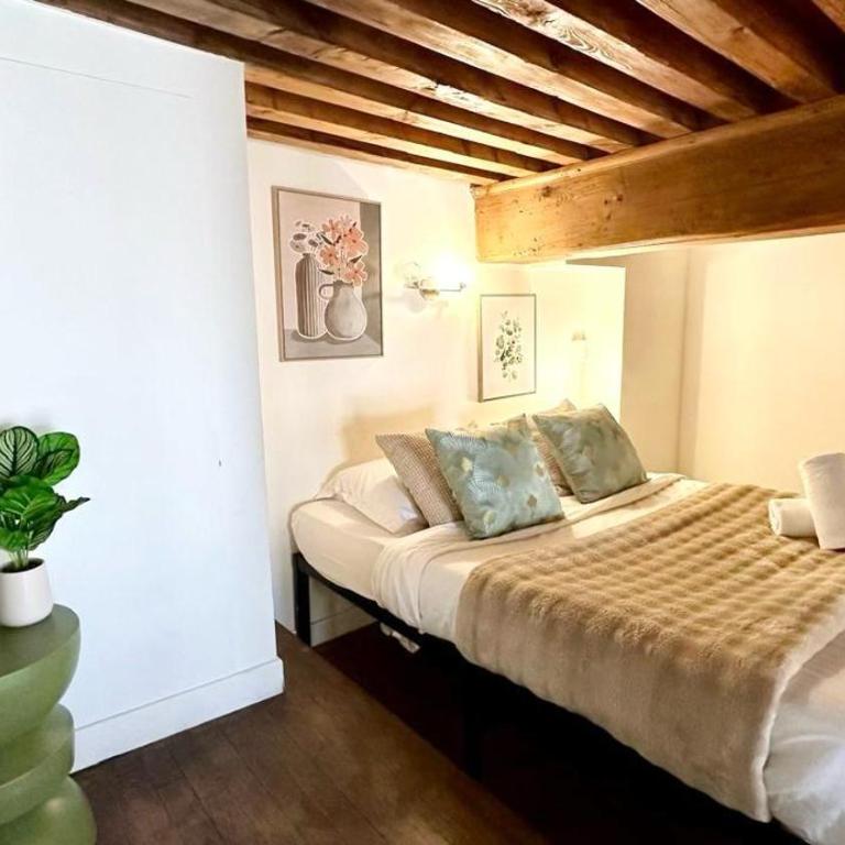 Belfort 2 Bedrooms Croix Rousse - Apartment mit 3 Schlafzimmern - 7