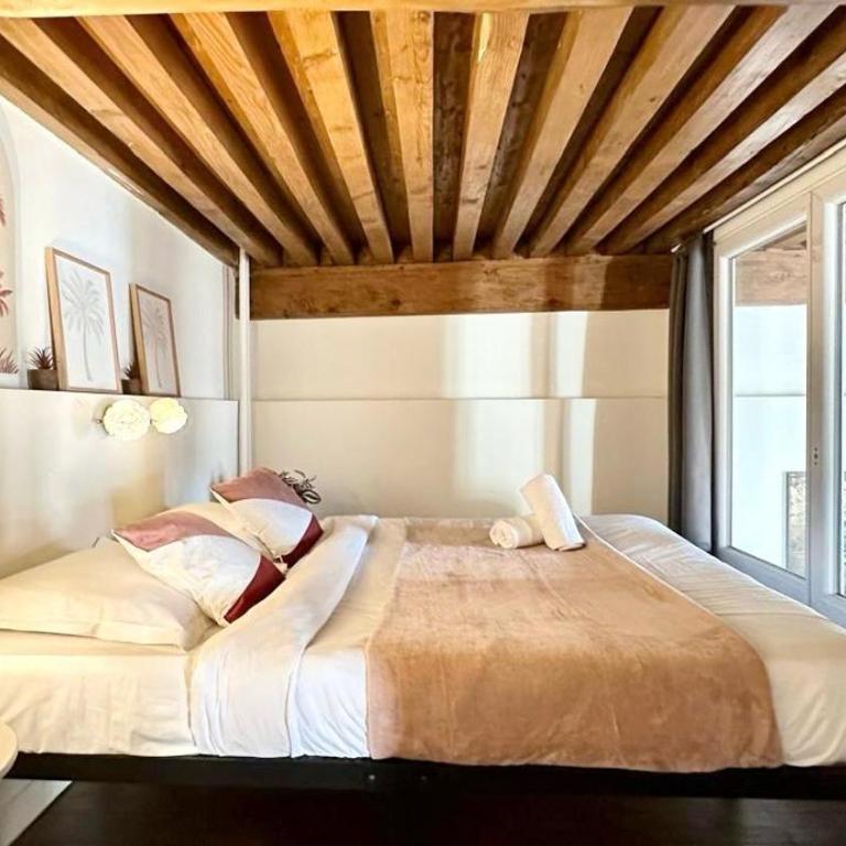 Belfort 2 Bedrooms Croix Rousse - Apartment mit 3 Schlafzimmern - 10