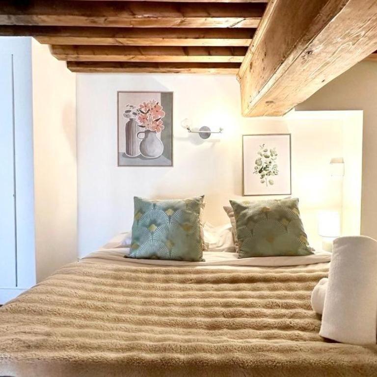 Belfort 2 Bedrooms Croix Rousse - Apartment mit 3 Schlafzimmern - 18