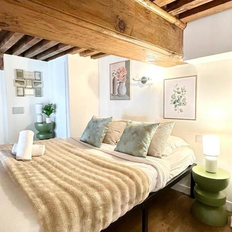 Belfort 2 Bedrooms Croix Rousse - Apartment mit 3 Schlafzimmern - 11