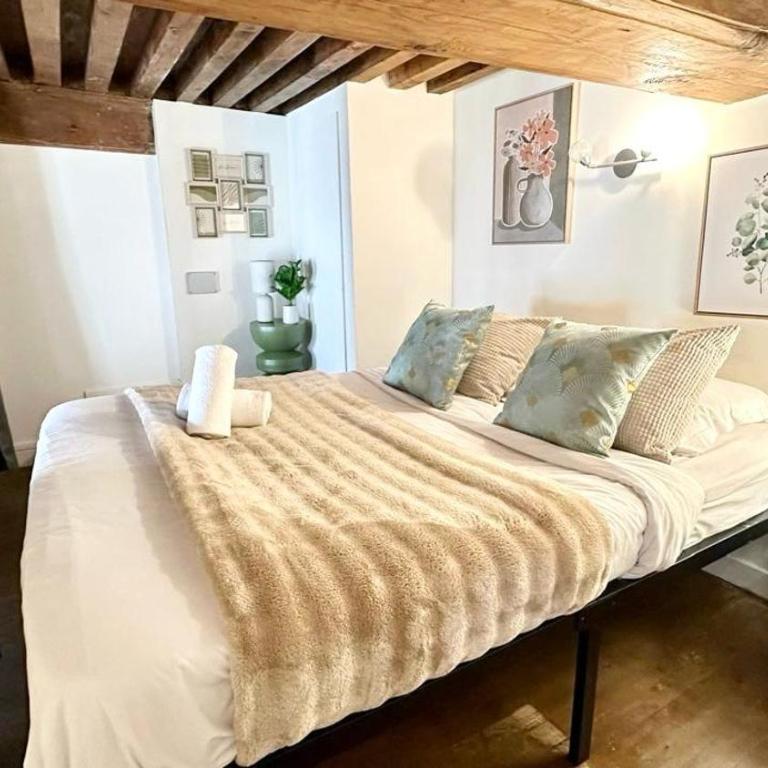 Belfort 2 Bedrooms Croix Rousse - Apartment mit 3 Schlafzimmern - 24