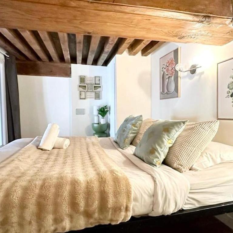 Belfort 2 Bedrooms Croix Rousse - Apartment mit 3 Schlafzimmern - 20