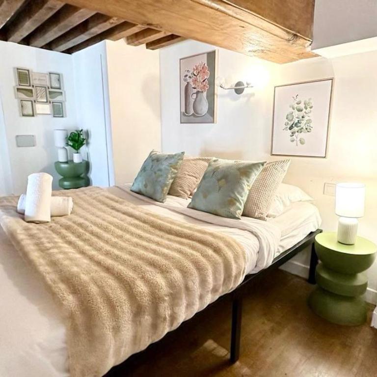 Belfort 2 Bedrooms Croix Rousse - Apartment mit 3 Schlafzimmern - 25