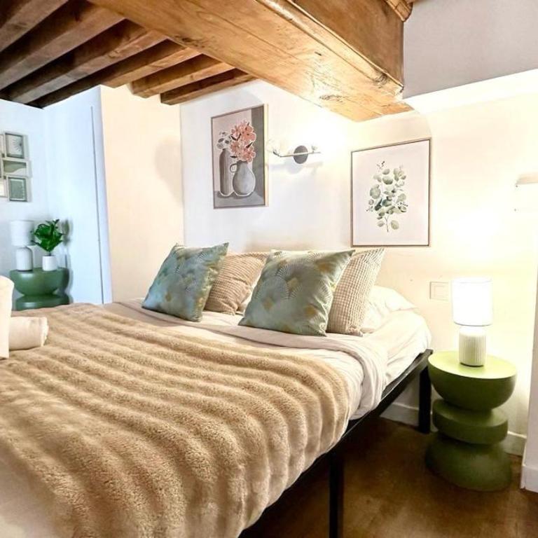 Belfort 2 Bedrooms Croix Rousse - Apartment mit 3 Schlafzimmern - 14