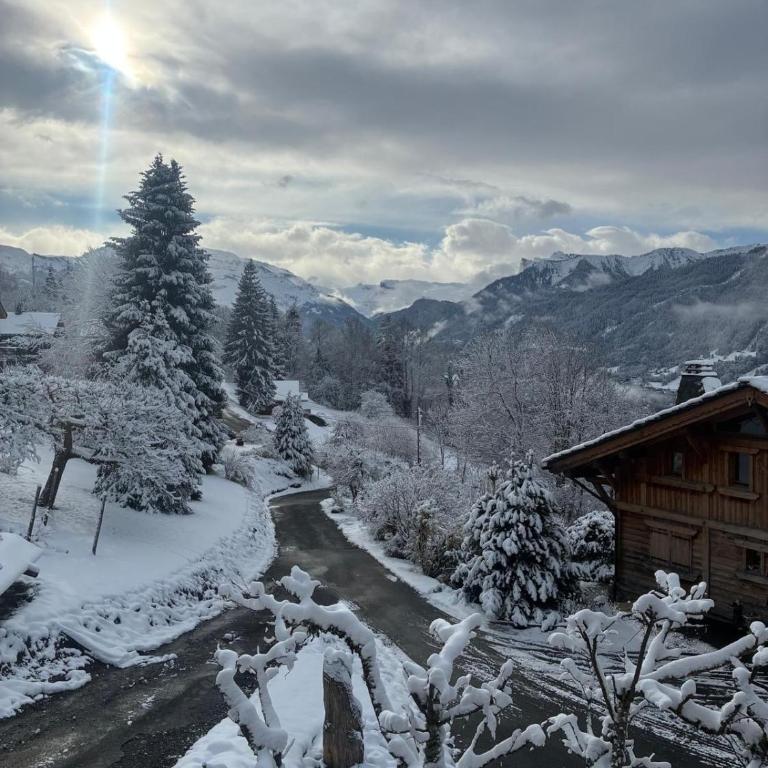 L'Ourson, unique charming place - Chalet 1 Chambre - 17