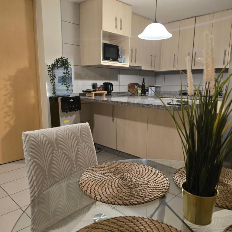 PREMIUM PROVIDENCIA Depto 2 Dormitorios - Two-Bedroom Family Apartment - 11