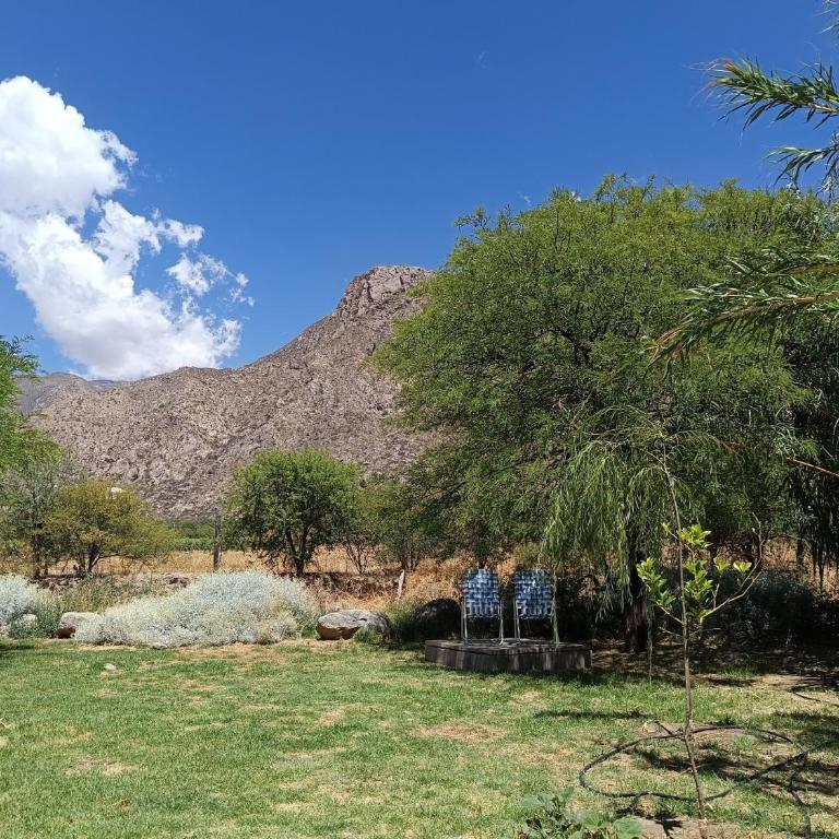 El Aromo Cafayate - Casa - 11