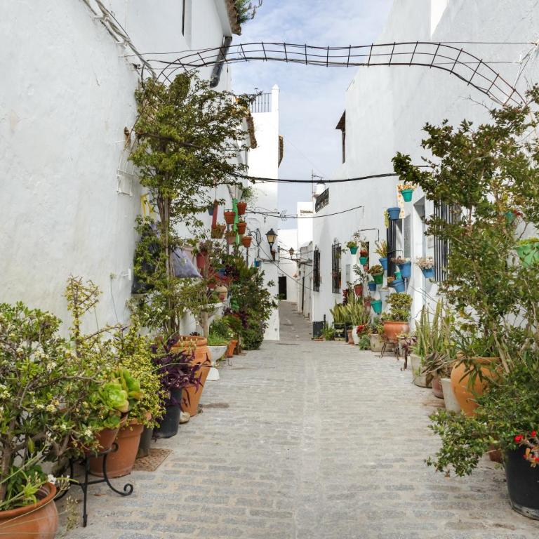 Centrico Apartamento en Vejer - Apartamento de 1 dormitorio con vistas al jardín - 25