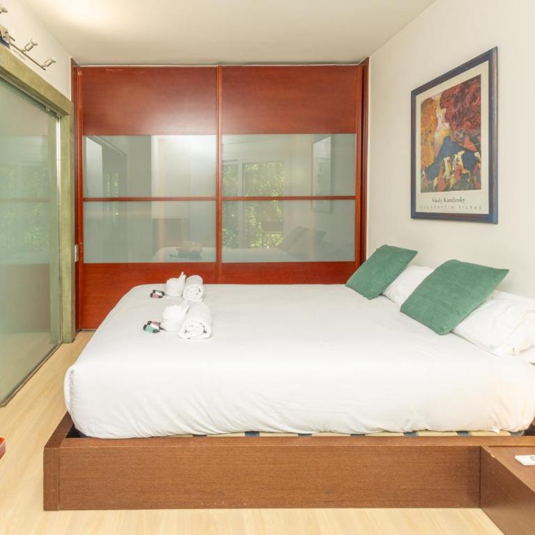 Girona centro con encanto y luz - Apartamento Deluxe - 6