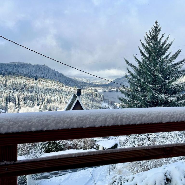 Chalet Ma Biche, vue lac, bain nordique - Maison 3 Chambres - 26