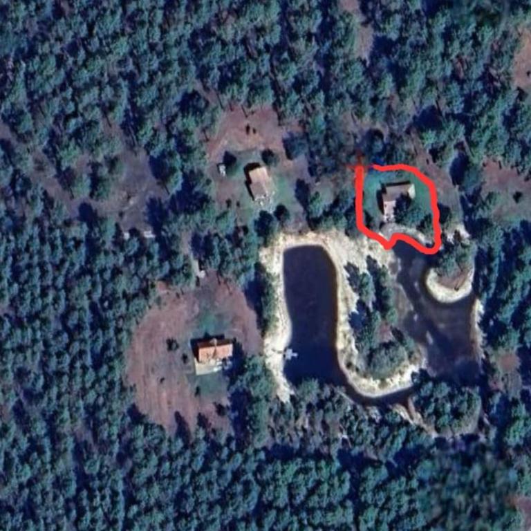 Maison bois au cœur de la forêt du bassin d'Arcachon - Casa con 3 Camere da Letto - 7