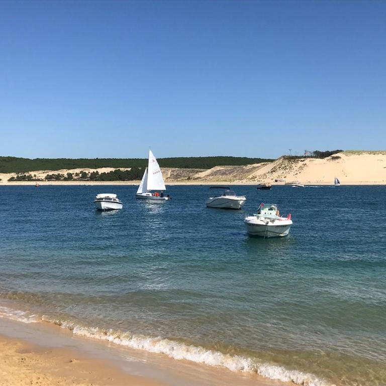 Maison bois au cœur de la forêt du bassin d'Arcachon - Casa con 3 Camere da Letto - 12