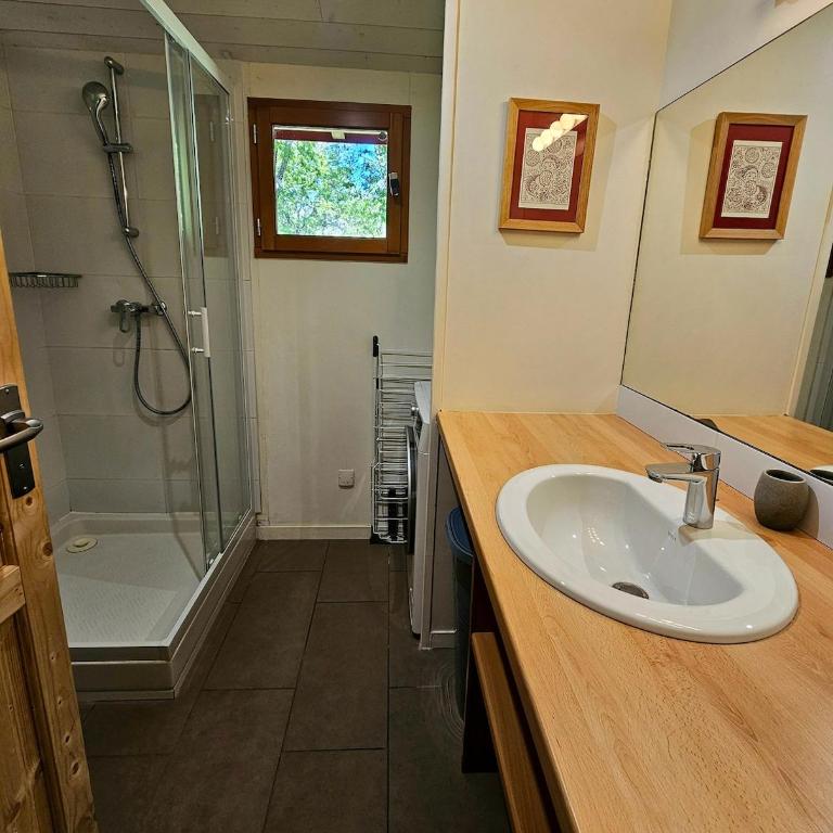 Maison bois au cœur de la forêt du bassin d'Arcachon - Casa con 3 Camere da Letto - 25