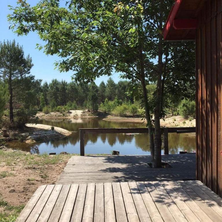 Maison bois au cœur de la forêt du bassin d'Arcachon - Casa con 3 Camere da Letto - 26