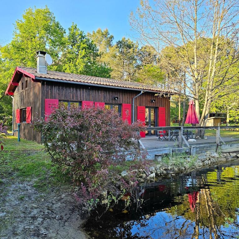 Maison bois au cœur de la forêt du bassin d'Arcachon - Casa con 3 Camere da Letto - 27