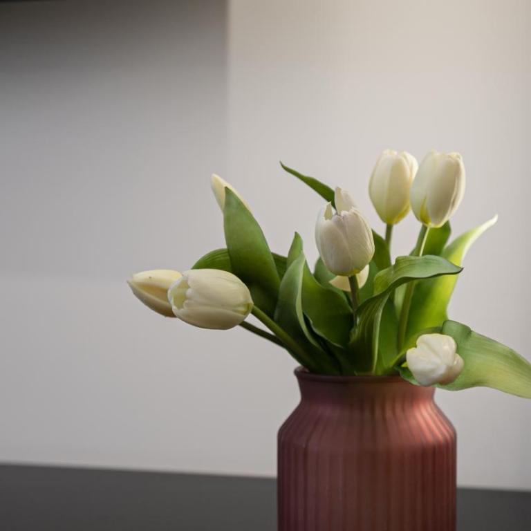Italianway Collection - XXV Aprile 7 - Appartamento - 40
