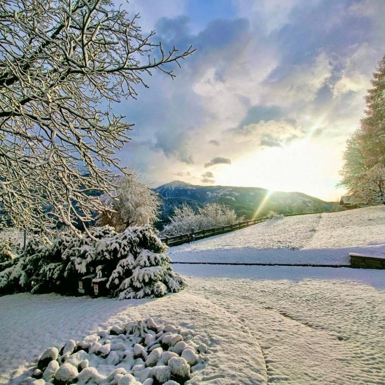 Villa ai noci - Casa con 1 Camera da Letto - 3