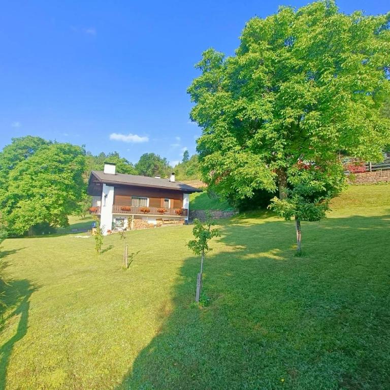 Villa ai noci - Casa con 1 Camera da Letto - 21