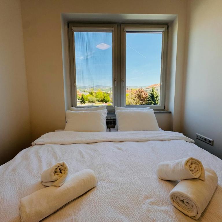 Apartment Atelier 81 with parking - Apartman sa 2 Spavaće Sobe - 19