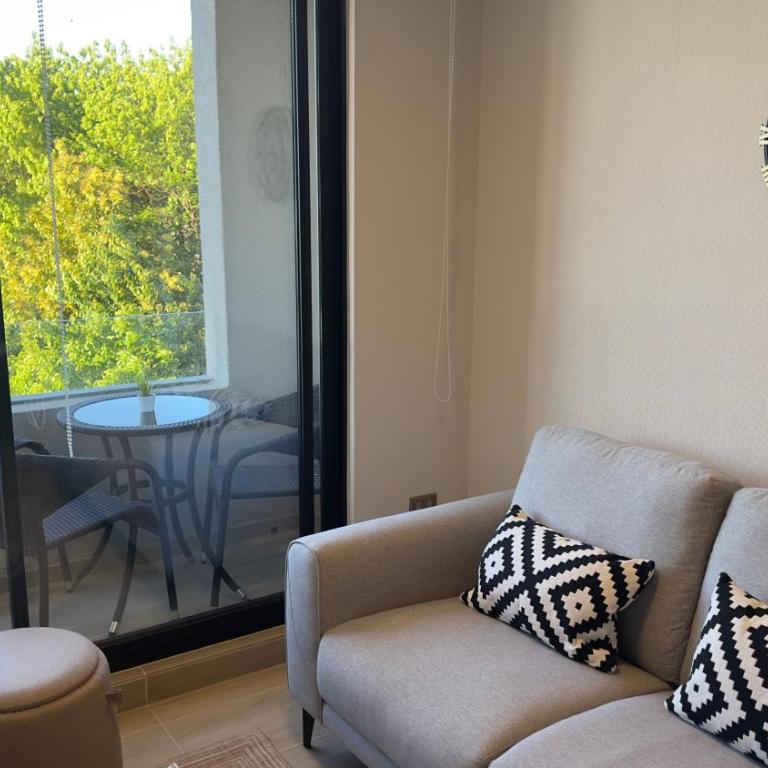 Oceana Suites Los Ángeles - Apartamento de 2 dormitorios con balcón - 13