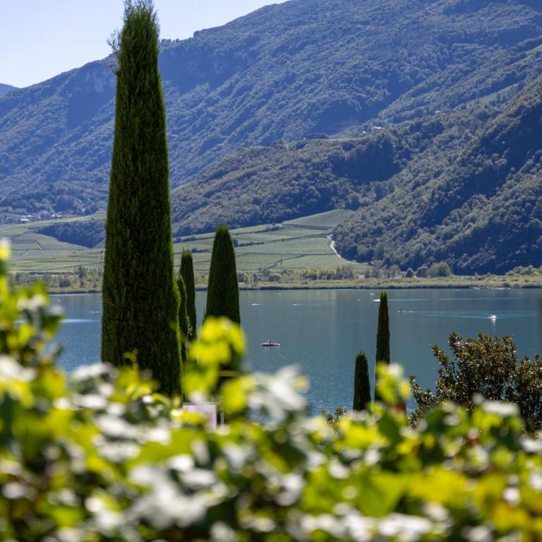 Gass-Hof - Camera Matrimoniale con Vista Lago - 3