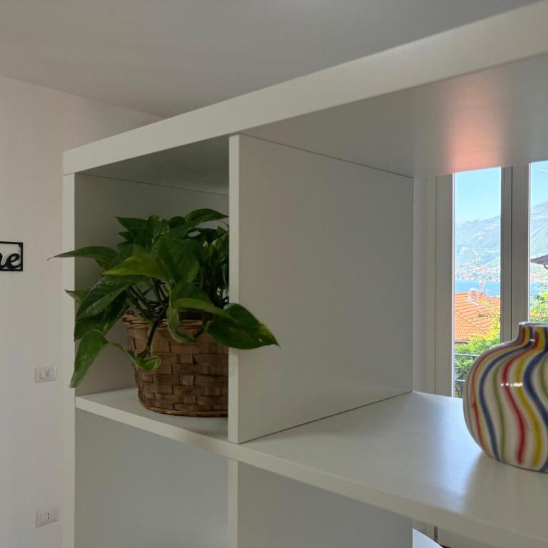 Casba Green - One-Bedroom Apartment - 5