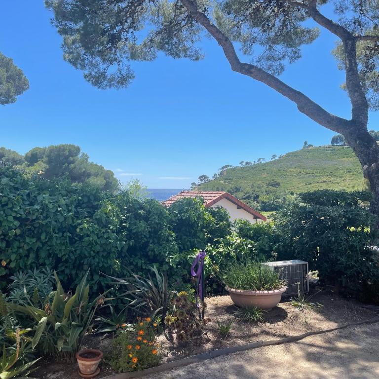 Studio bord de mer avec jardin dans villa ancienne - Studio mit Terrasse - 14