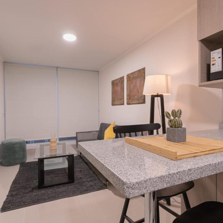 Your Urban Oasis 1BR in Downtown Santiago - Apartment - 8
