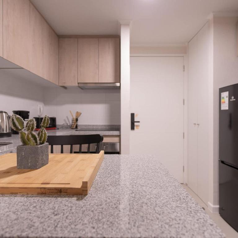 Your Urban Oasis 1BR in Downtown Santiago - Apartment - 4