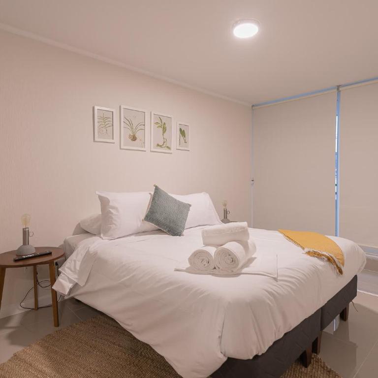 Your Urban Oasis 1BR in Downtown Santiago - Apartment - 21
