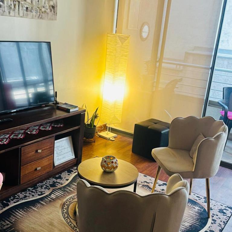 Dpt providencia Manuel montt - One-Bedroom Apartment - 1