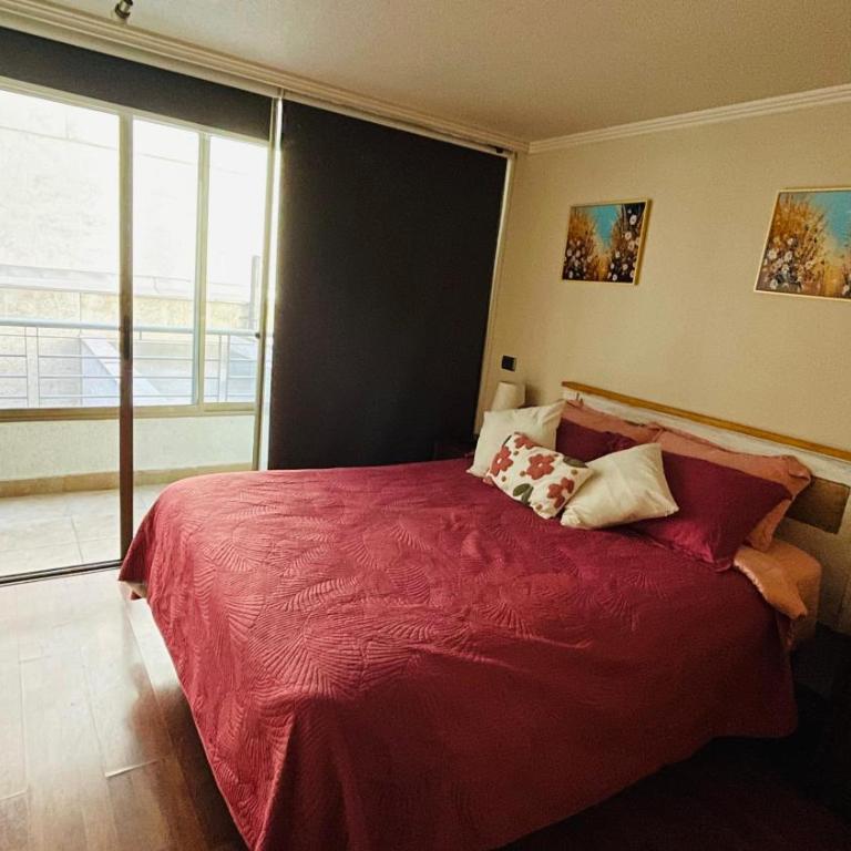 Dpt providencia Manuel montt - One-Bedroom Apartment - 9