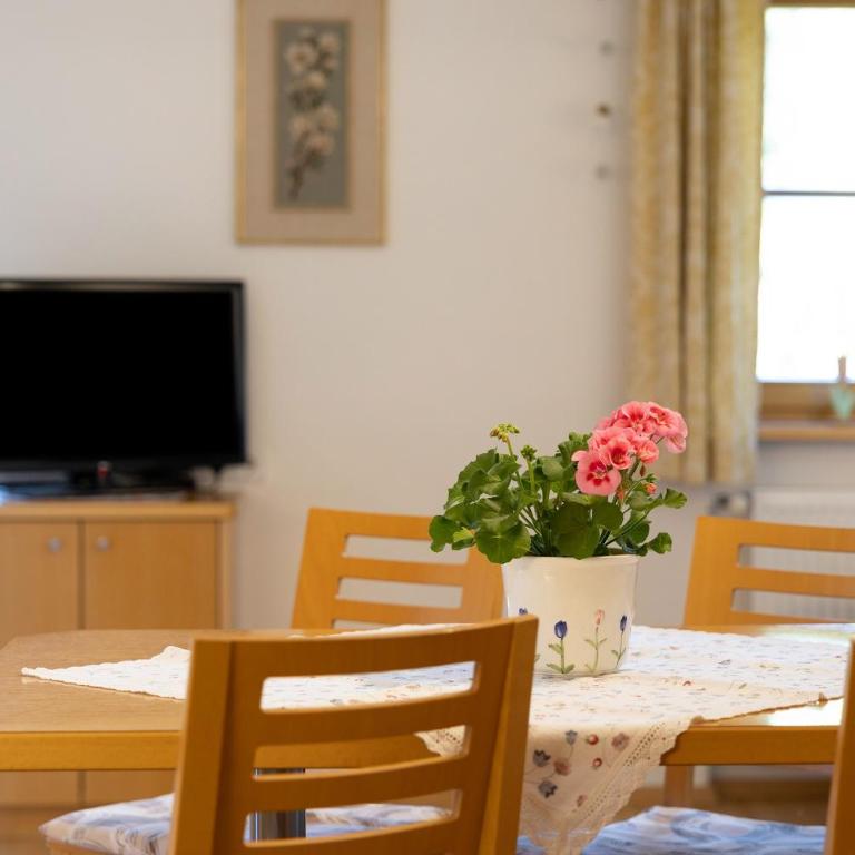 Getzenbergerhof - Appartamento Superior con 1 Camera da Letto e Balcone - 4