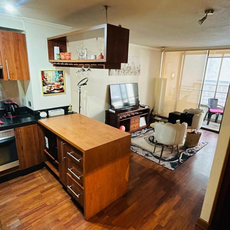 Dpt providencia Manuel montt - One-Bedroom Apartment - 7