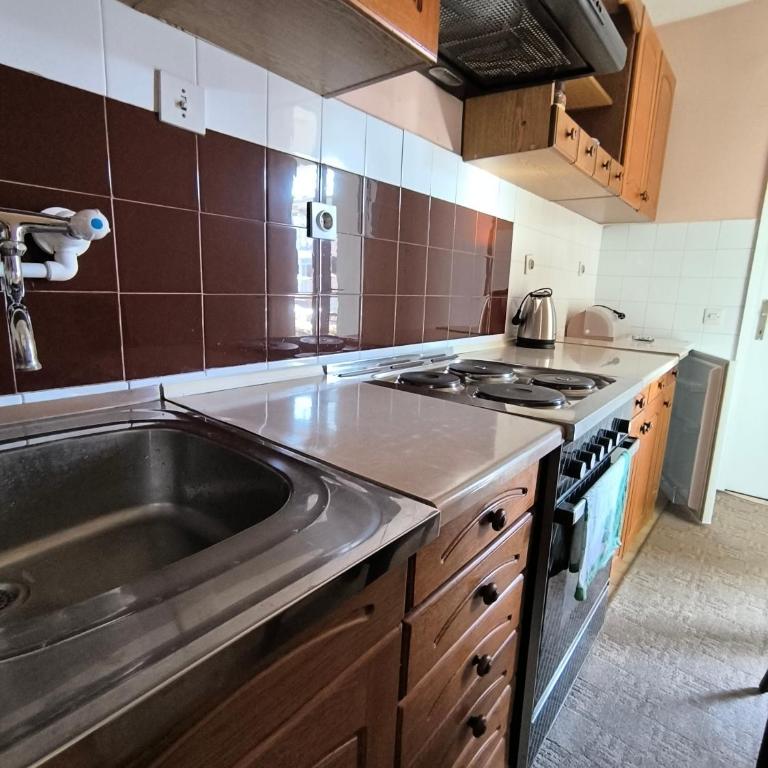 Apartmani Mancic Sokobanja - Apartman sa 1 Spavaćom Sobom - 4