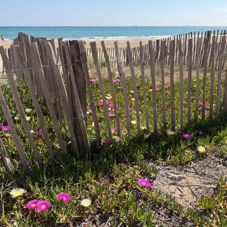 T3 climatisé à l'abri des regards - plage à 200m - Maison 2 Chambres - 27