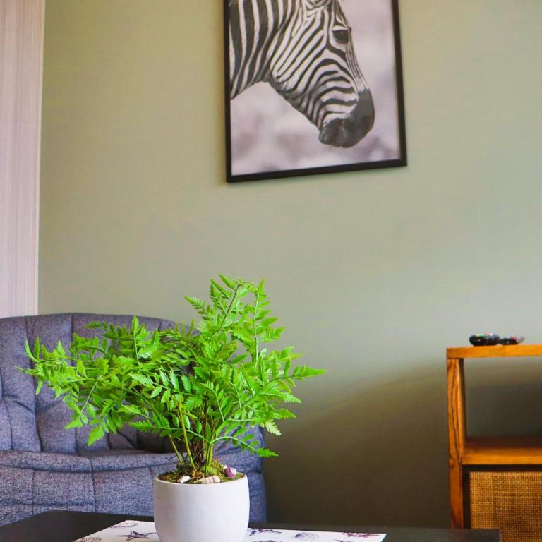 HOM I Estudio A pasos del Mall Plaza I Centro I Wifi PNB 0516 - Apartment - 19