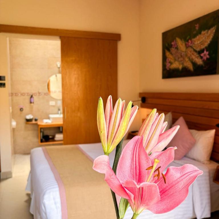 ArcoSodi Hotel Boutique - Habitación Estándar - 1 cama grande - 1