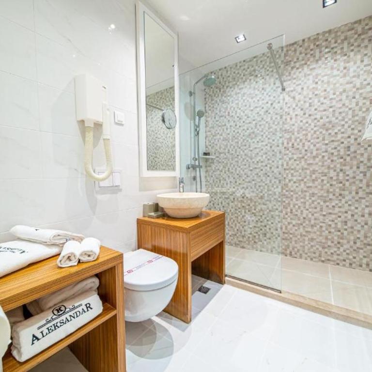 Hotel Aleksandar Rafailovići - Apartman sa 1 Spavaćom Sobom: - 9