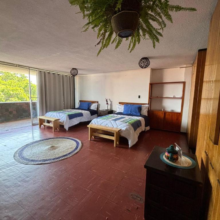 Suites Las Plazas - Apartamento con balcón - 8