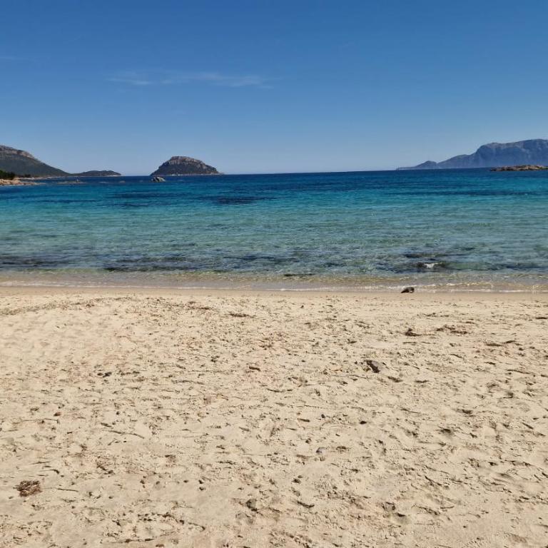 Villa Cala Sassari Sardinia - Villa con Piscina Privata - 17