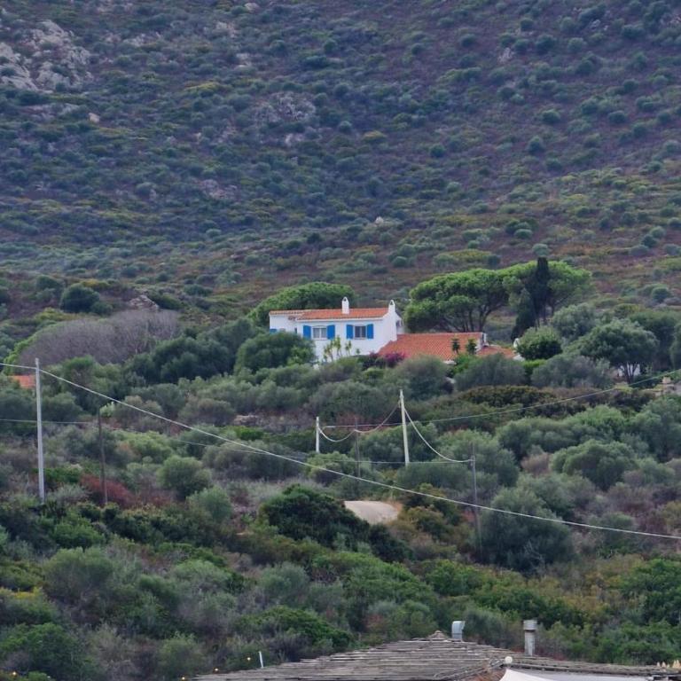 Villa Cala Sassari Sardinia - Villa con Piscina Privata - 20