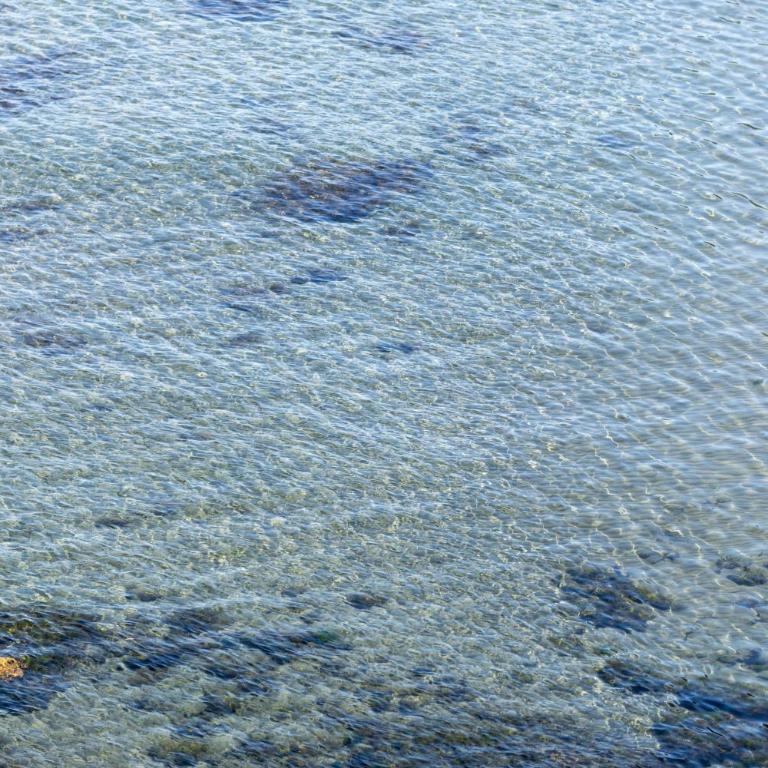 Zaya Mare Small Beach by Odea Stays - Apartman sa 1 Spavaćom Sobom - 9