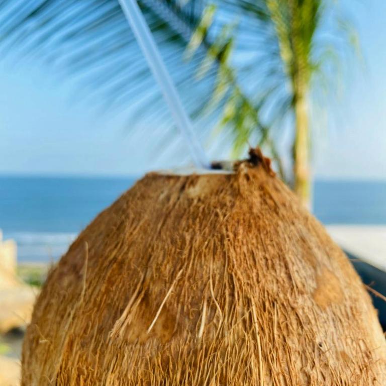 El Cottage de Vasco - One-Bedroom Apartment - 20