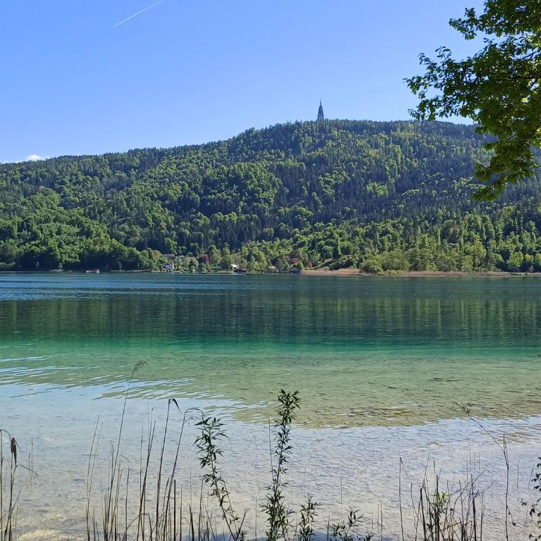 Appartement Seezeit am Wörthersee - Apartment mit 1 Schlafzimmer - 24
