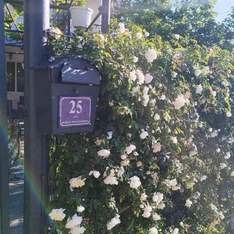 White Rose 2 - One-Bedroom Apartment - 22