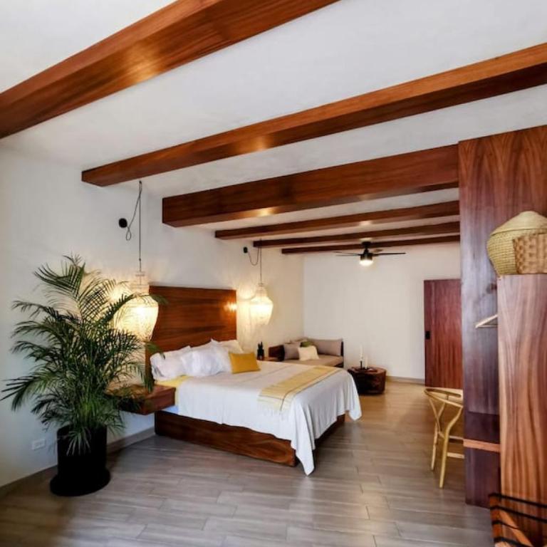 Luxury Studio 204 in Zona Romantica - Apartamento - 1